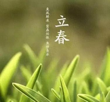 2024年為啥叫寡婦年