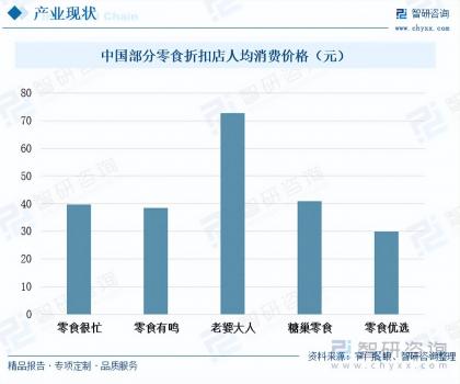 2023年零食折扣店行業市場分析報告