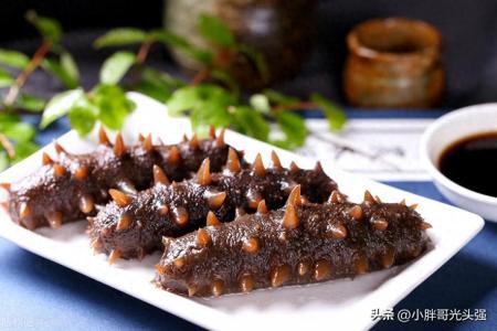 海參會大量吞食泥沙，猜猜是為什么？