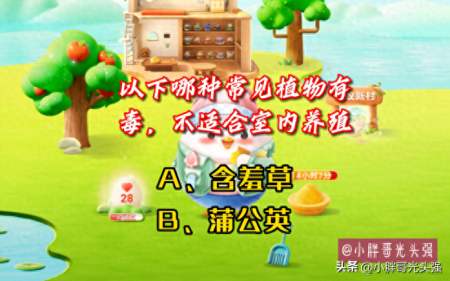 哪種常見植物有毒，不適合室內(nèi)養(yǎng)殖？含羞草還是蒲公英？