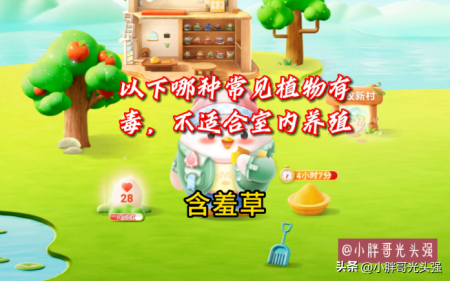 哪種常見植物有毒，不適合室內(nèi)養(yǎng)殖？含羞草還是蒲公英？