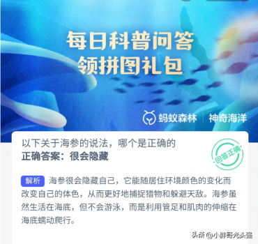 關于海參的說法,很會隱藏還是擅長游泳? 關于海參的說法,很會隱藏還是擅長游泳?