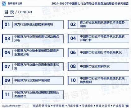 中國算力行業市場現狀及投資前景研究報告