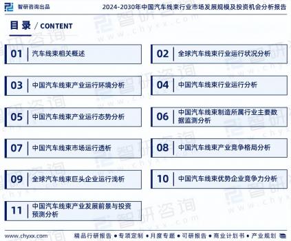 中國(guó)汽車(chē)線(xiàn)束行業(yè)市場(chǎng)運(yùn)行態(tài)勢(shì)分析報(bào)告