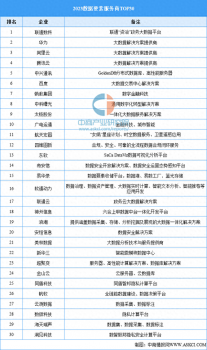 2023數據要素服務商TOP30