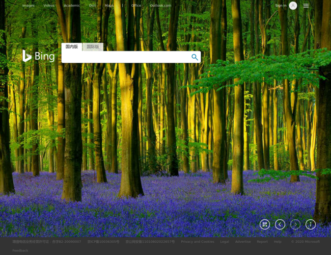 Bing 必應