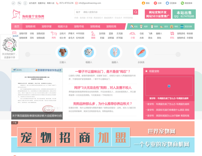 狗的貓寧寵物網