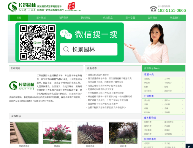 江蘇沭陽長景園林苗木場