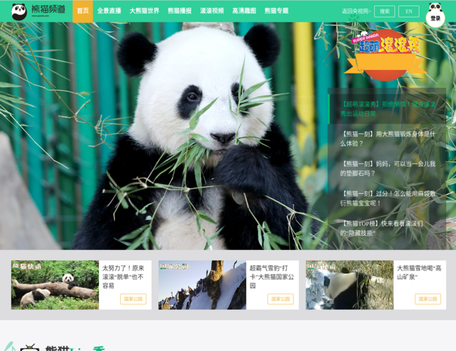 iPanda熊貓頻道
